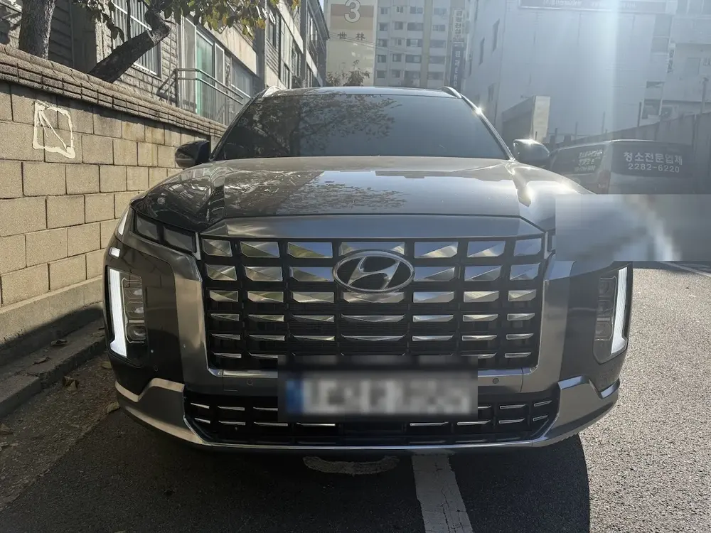 팰리세이드 대형SUV 전면 외관